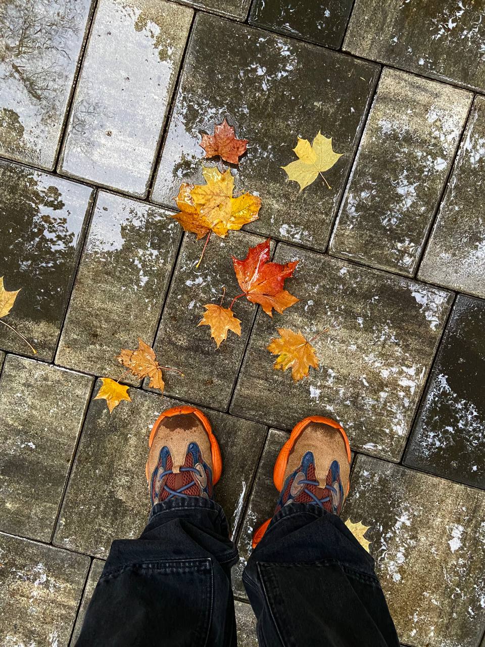 Осенний поцелуй после жаркого лета 🍁 image preview